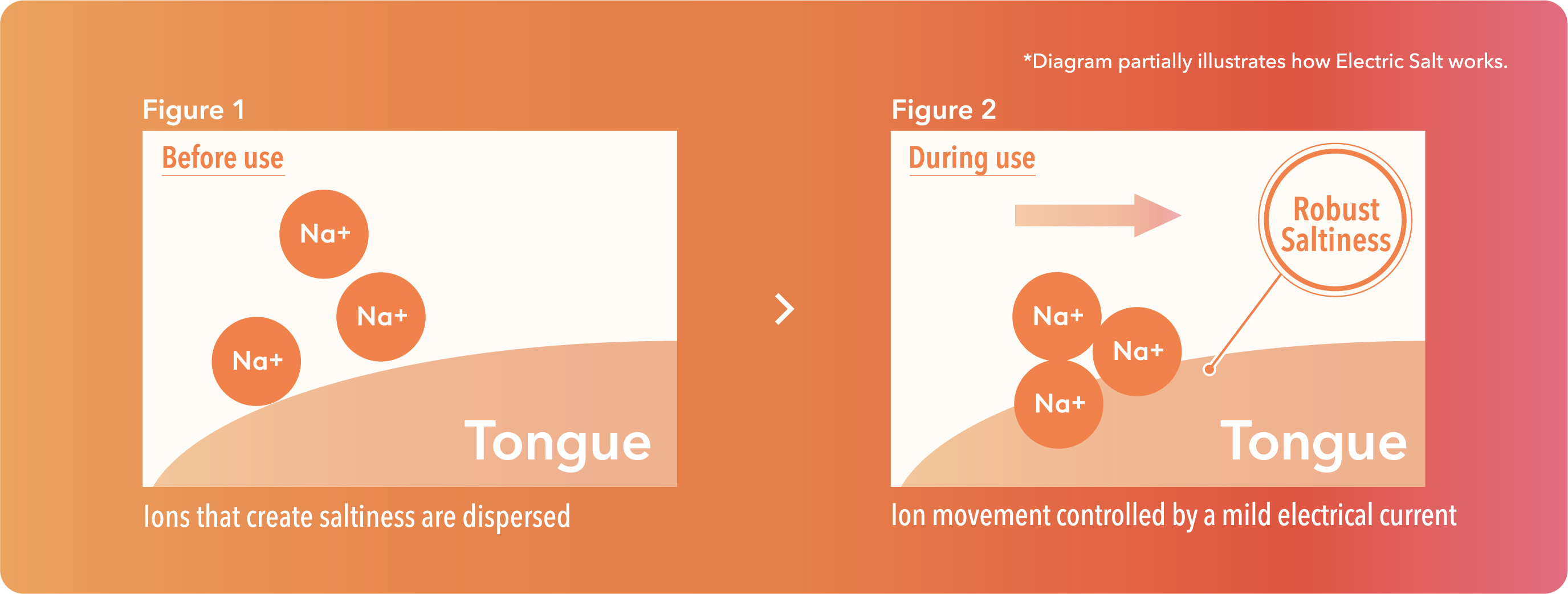 Before use, sodium ions that create saltiness are dispersed. During use, a mild electrical current concentrates them around the tongue, enhancing the perception of saltiness. Diagram partially illustrates how Electric Salt works.