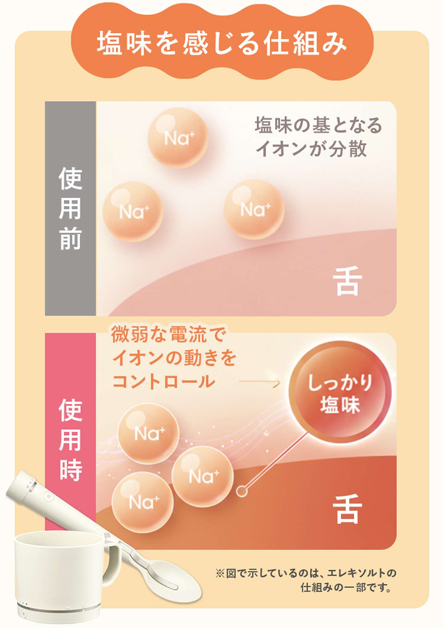 塩味を感じる仕組み 使用時にNa+イオンが分散せず舌に吸着するイメージ
