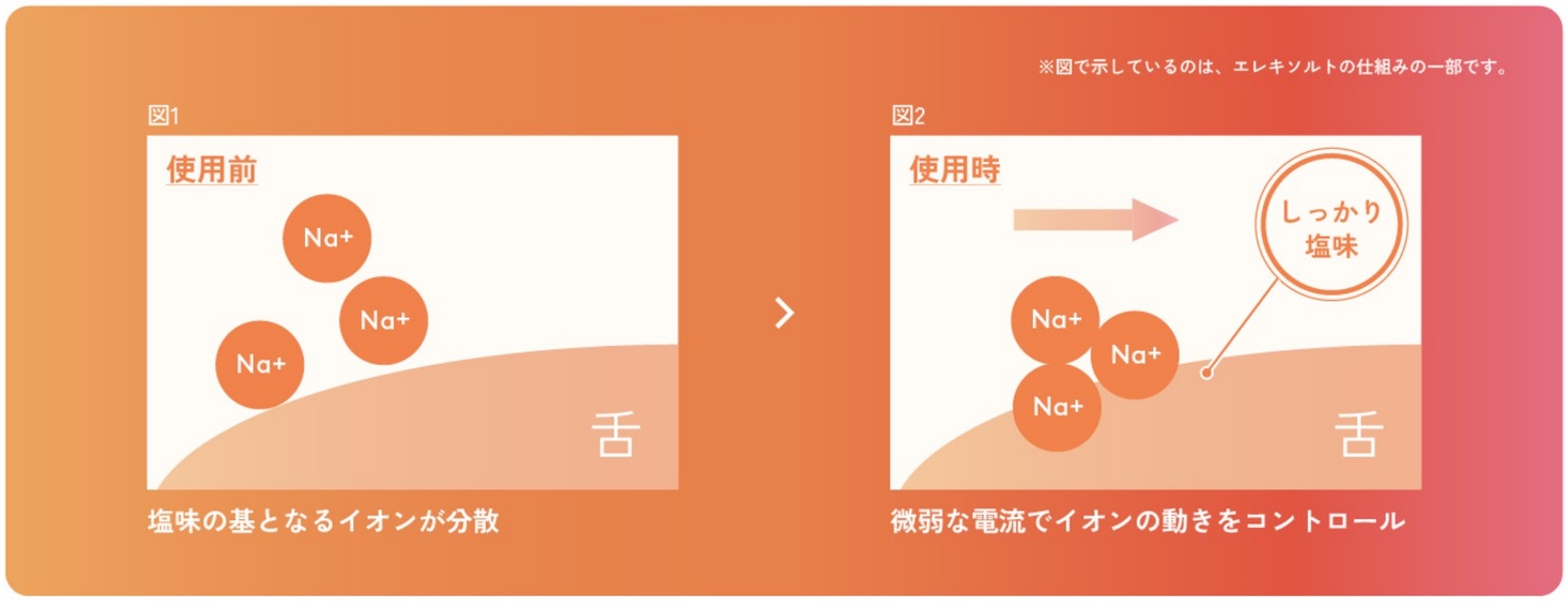 エレキソルト公式オンラインストア