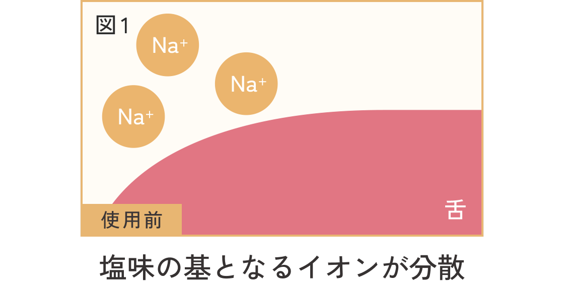 塩味の基となるイオンが分散を表す図